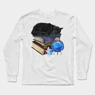 Sleepy Familiars Long Sleeve T-Shirt